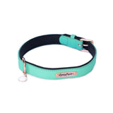 Vivid Collection Collar - Teal