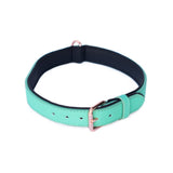 Vivid Collection Collar - Teal