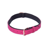 Vivid Collection Collar - Magenta