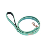 Vivid Collection Leash - Teal