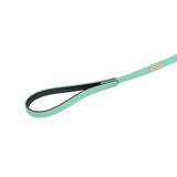 Vivid Collection Leash - Teal