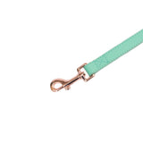 Vivid Collection Leash - Teal