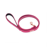 Copy of Vivid Collection Leash - Magenta