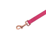 Copy of Vivid Collection Leash - Magenta